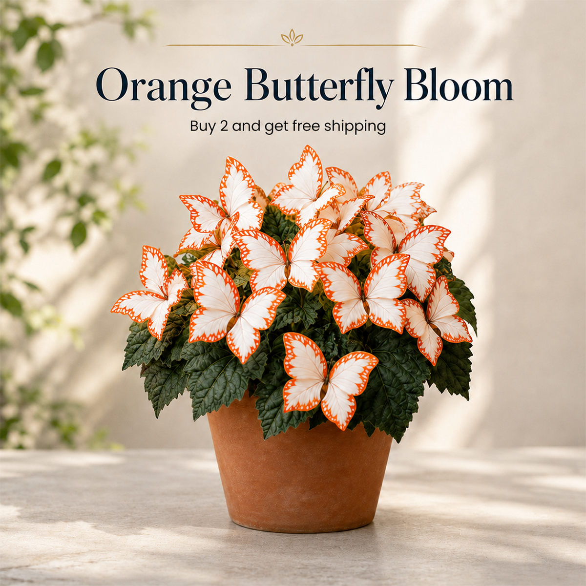 Magical Butterfly Garden Seeds