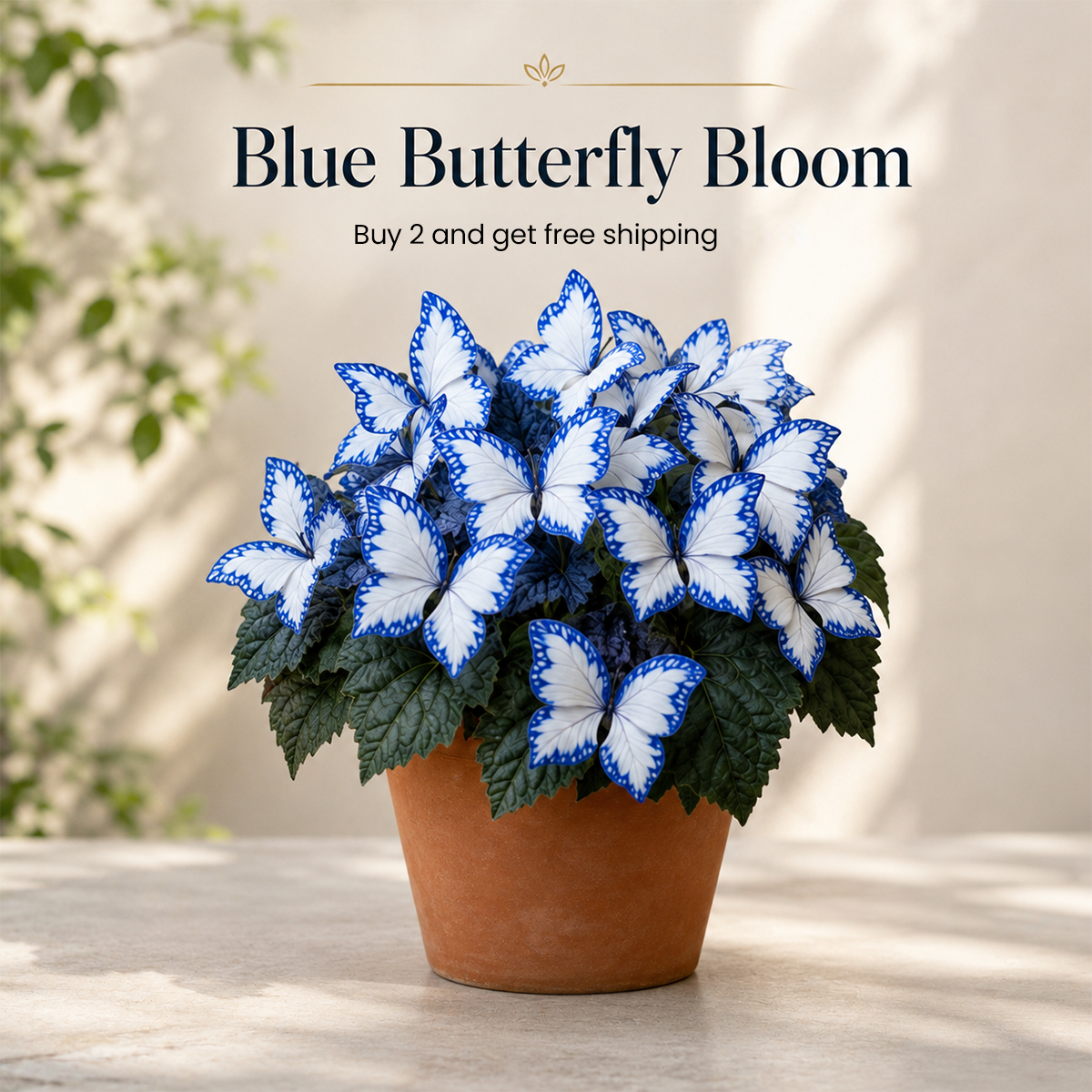 Magical Butterfly Garden Seeds