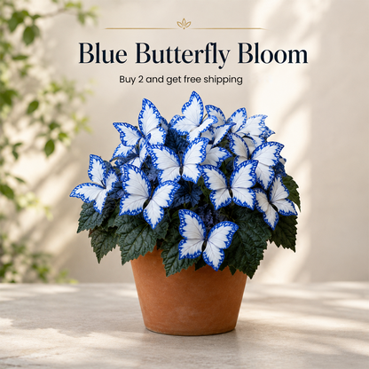 Magical Butterfly Garden Seeds