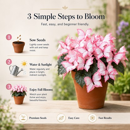 Magical Butterfly Garden Seeds