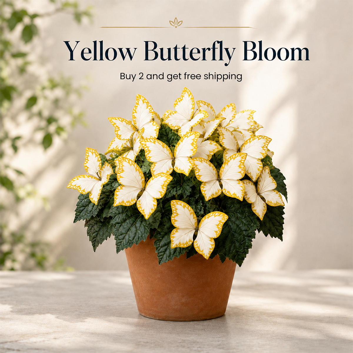 Magical Butterfly Garden Seeds