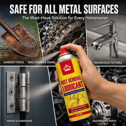 Anti-Rust Lubricant Spray & Rust Remover
