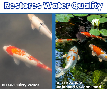 Natural Pond Water Clarifier for Crystal Clear Aquatic Ecosystems