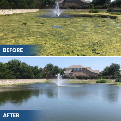 Natural Pond Water Clarifier for Crystal Clear Aquatic Ecosystems