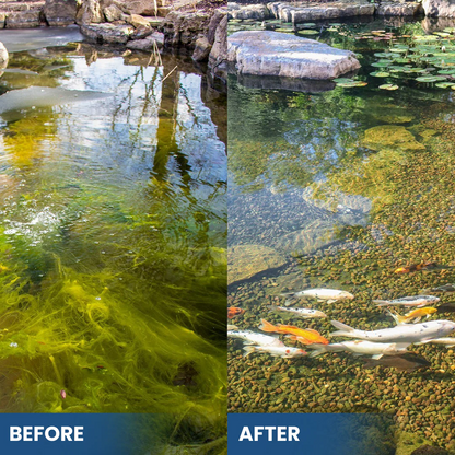 Natural Pond Water Clarifier for Crystal Clear Aquatic Ecosystems