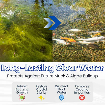 Natural Pond Water Clarifier for Crystal Clear Aquatic Ecosystems