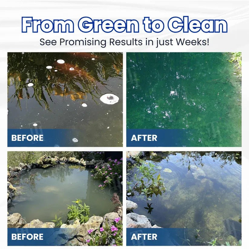 Natural Pond Water Clarifier for Crystal Clear Aquatic Ecosystems